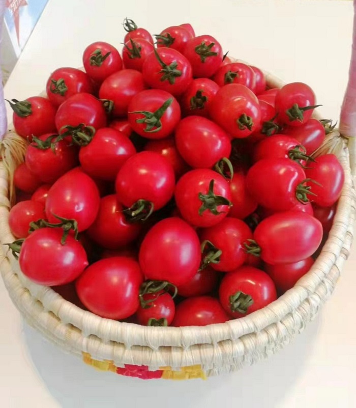 微信圖片_20230620150814