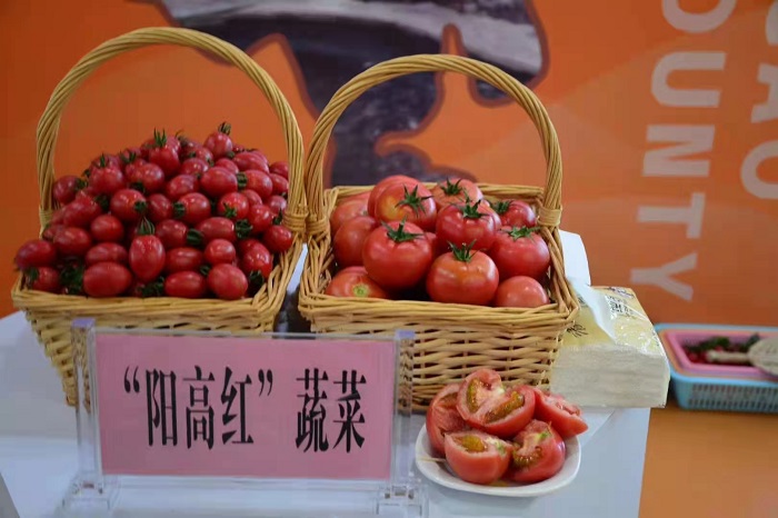 微信圖片_20230616094737