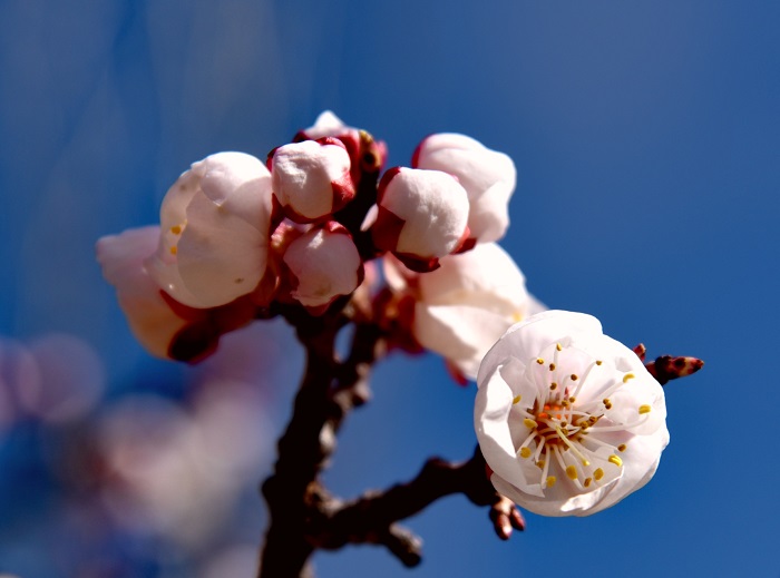 微信圖片_20230616185044