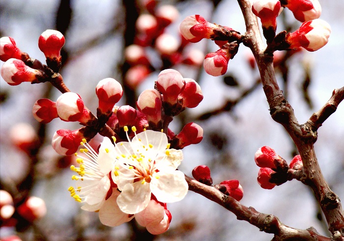 微信圖片_20230616111955