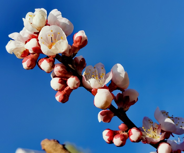 微信圖片_20230616185035